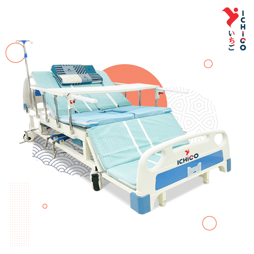Giường bệnh nhân ICHIGO IG HB04 Nhật Bản
