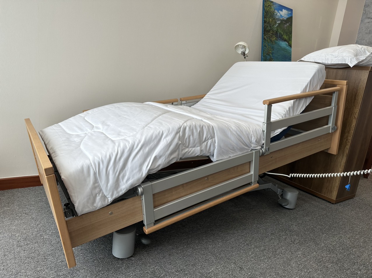 Giường chăm sóc người bệnh